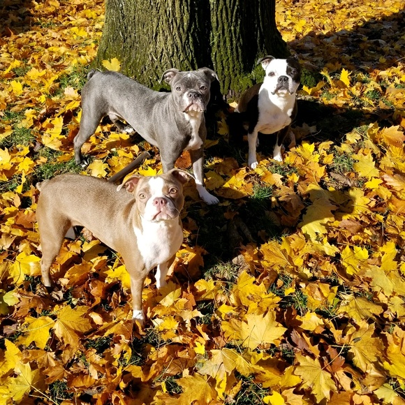 Meet your Posher, Stacey - Picture 1 of 1